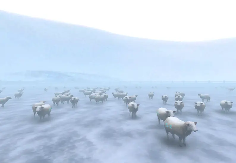 Crazy Cattle 3D cliff arena in New Zealand